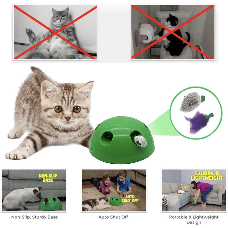 Motion Toy for Cats