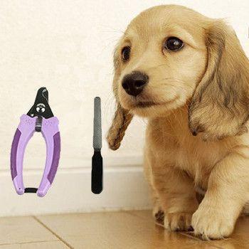 Professional Pet Nail Clipper with 1 Nail File