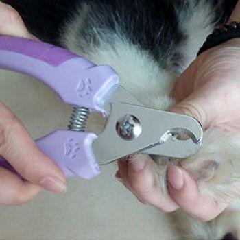 Professional Pet Nail Clipper with 1 Nail File