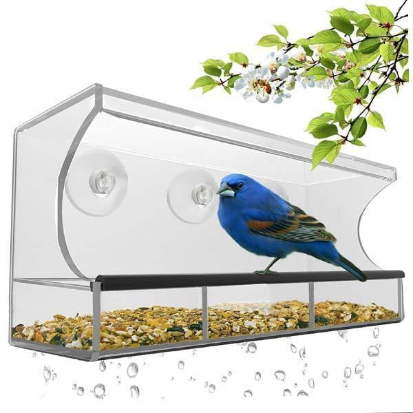 Window Bird Feeder - Clear Wild Bird Watching