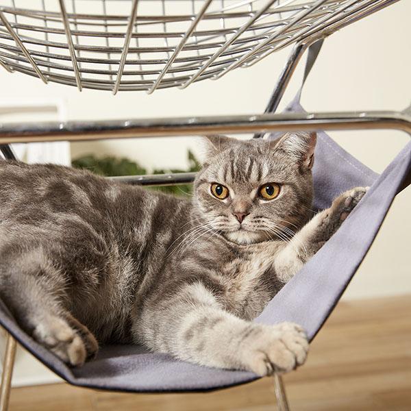 Hammock for Pets