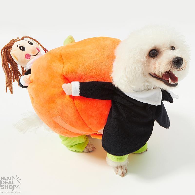 Fantasy Dog Carrying Pumpkin